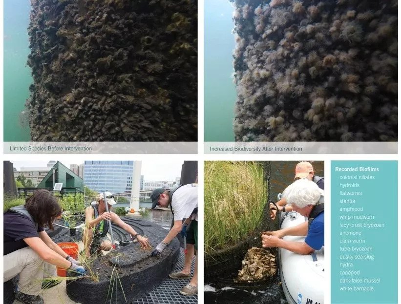 2018年ASLA专业奖新鲜出炉!『研究类』