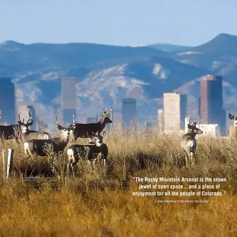 2018年ASLA专业奖新鲜出炉!『研究类』