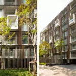 干货：景观植物配置细节，我只服万科！