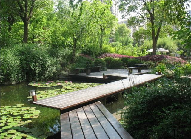 干货:景观植物配置细节,我只服万科!