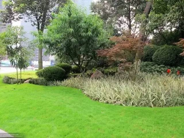 干货:景观植物配置细节,我只服万科!