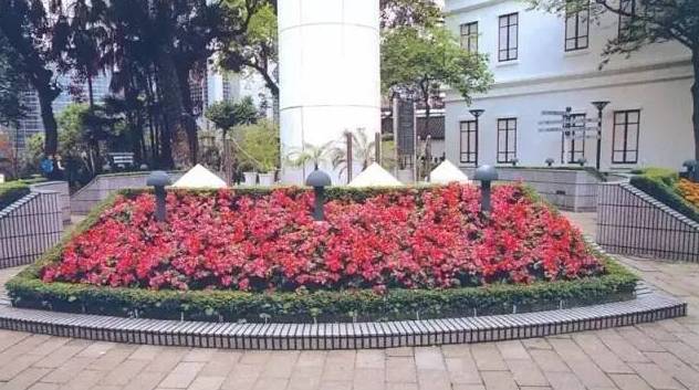 干货:景观植物配置细节,我只服万科!