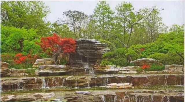 干货:景观植物配置细节,我只服万科!
