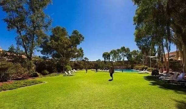 干货:景观植物配置细节,我只服万科!