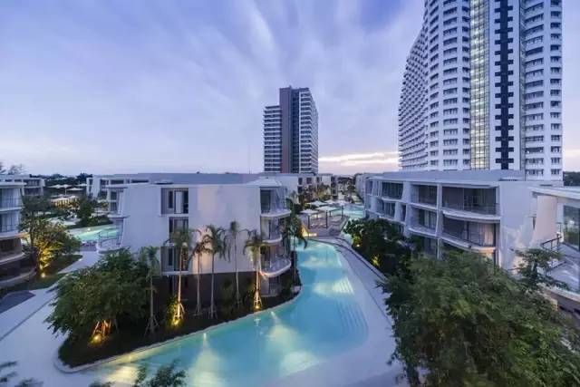 干货:景观植物配置细节,我只服万科!