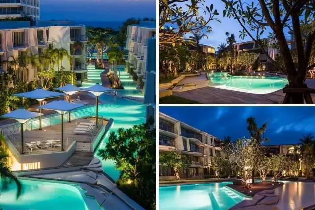 干货:景观植物配置细节,我只服万科!