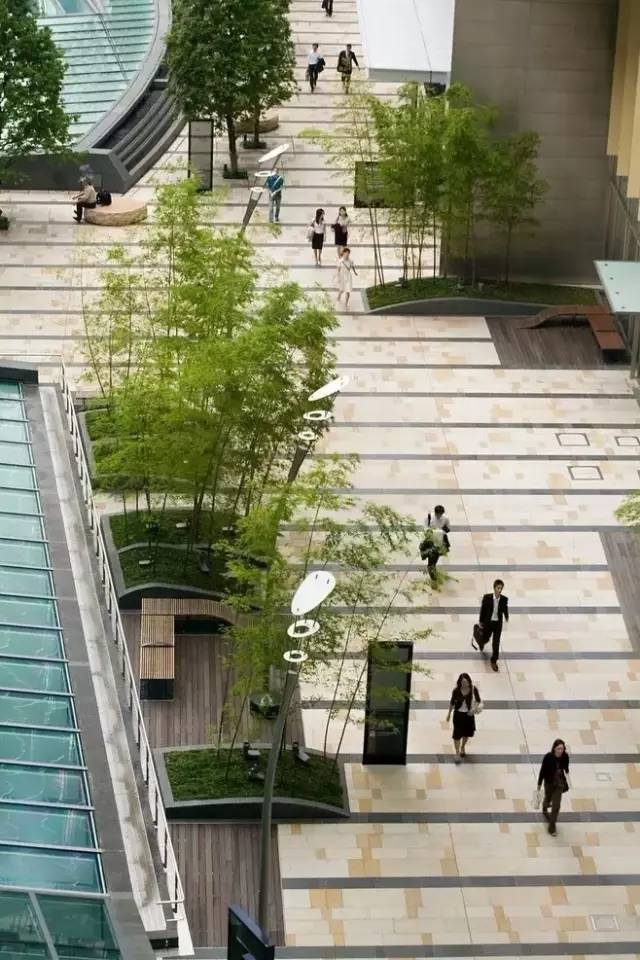 干货:景观植物配置细节,我只服万科!