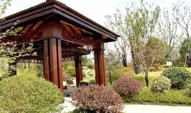 干货:景观植物配置细节,我只服万科!