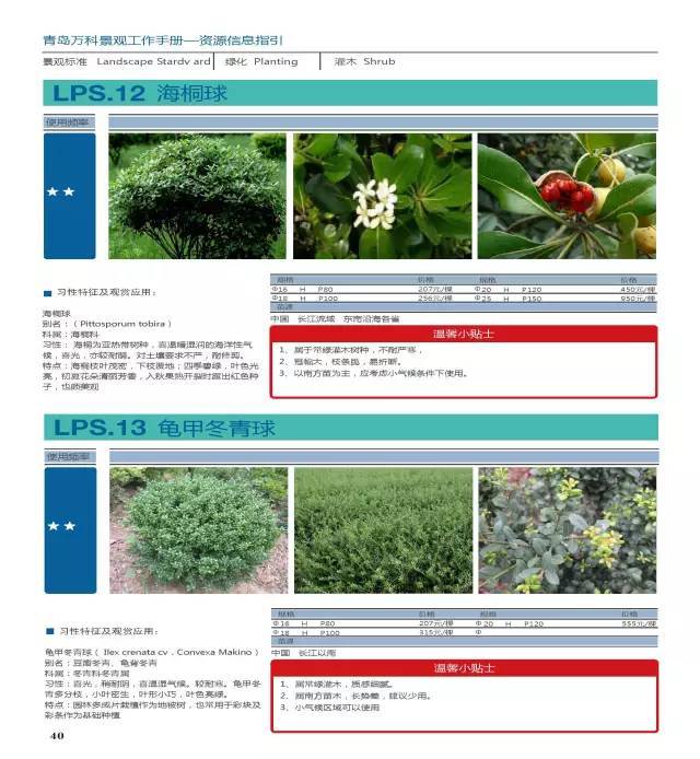 干货：230种万科景观常用植物汇总（内部资料）