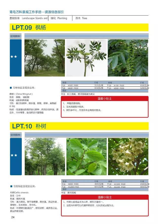 干货：230种万科景观常用植物汇总（内部资料）