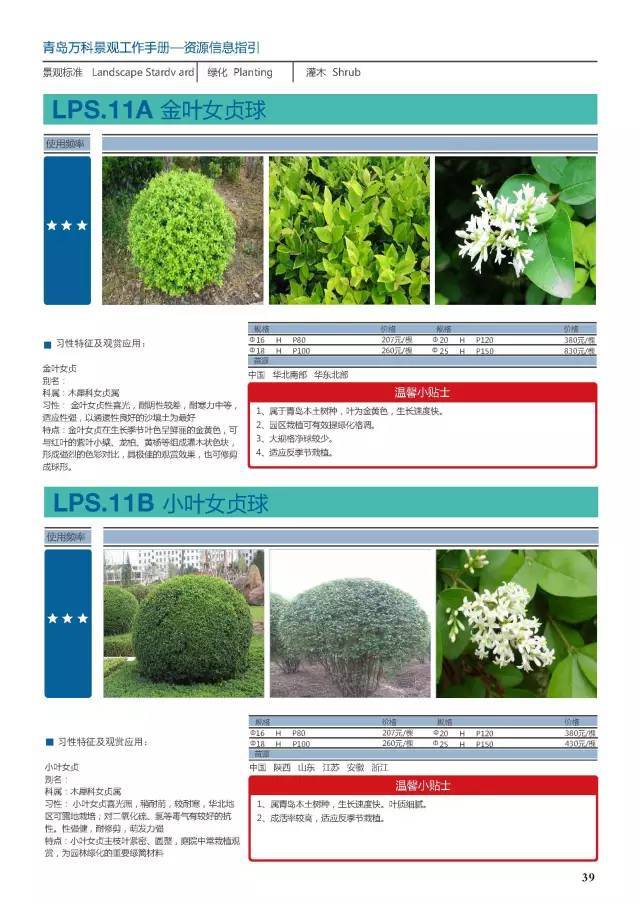干货：230种万科景观常用植物汇总（内部资料）