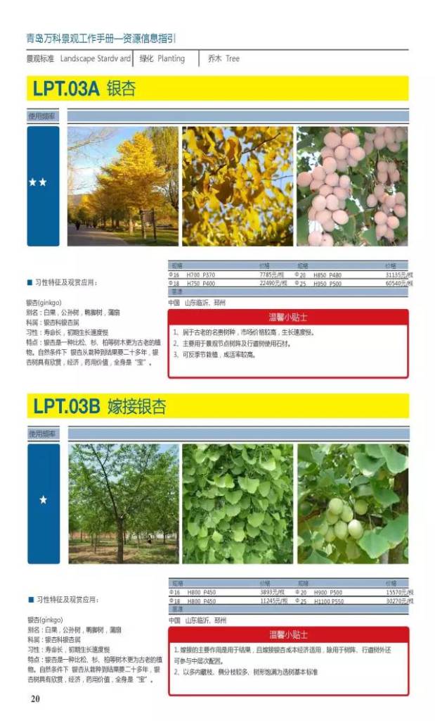 干货：230种万科景观常用植物汇总（内部资料）