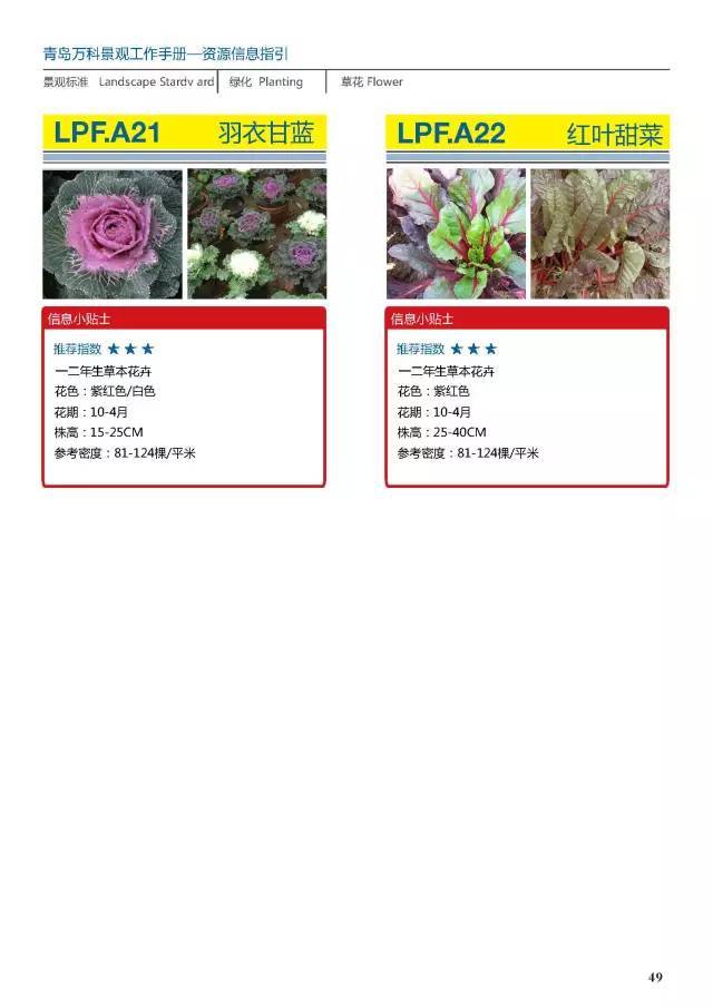 干货：230种万科景观常用植物汇总（内部资料）