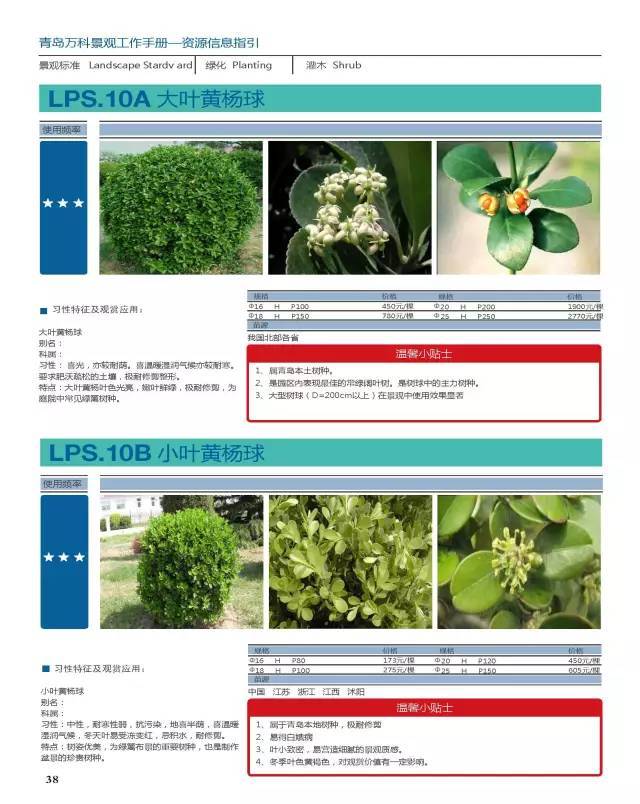 干货：230种万科景观常用植物汇总（内部资料）