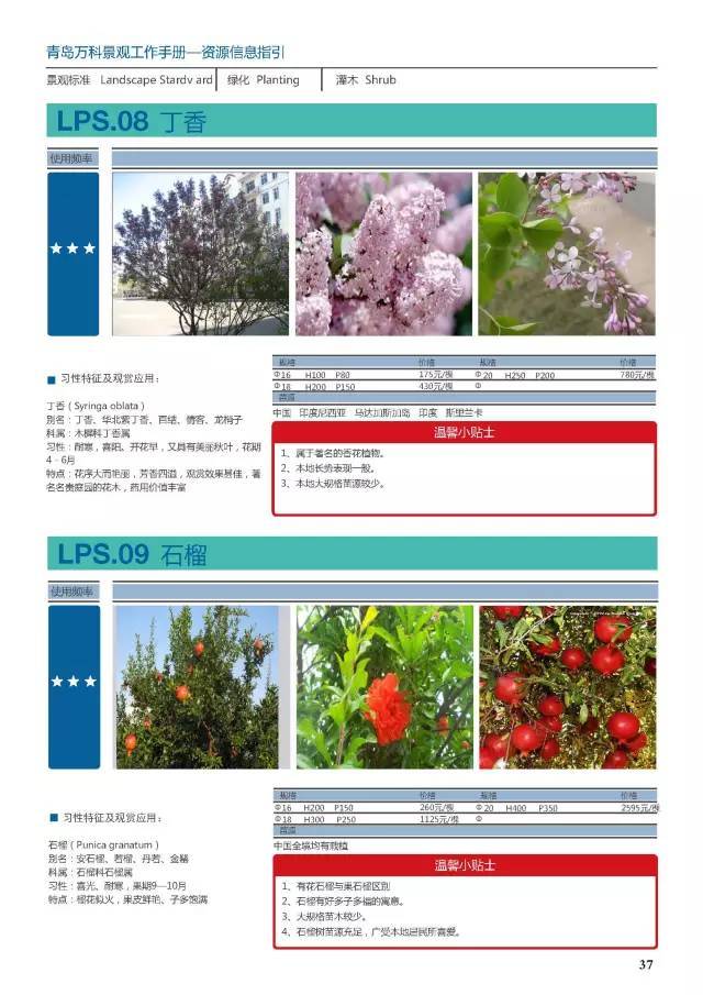 干货：230种万科景观常用植物汇总（内部资料）