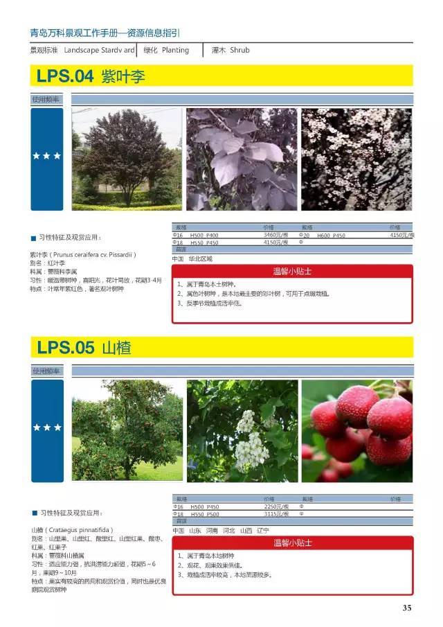 干货：230种万科景观常用植物汇总（内部资料）