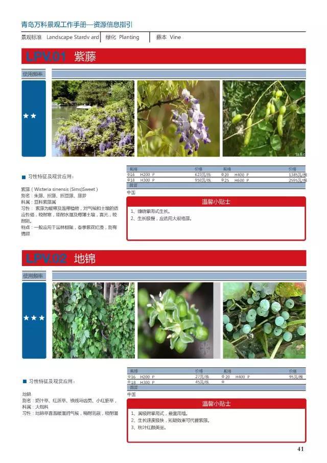 干货：230种万科景观常用植物汇总（内部资料）