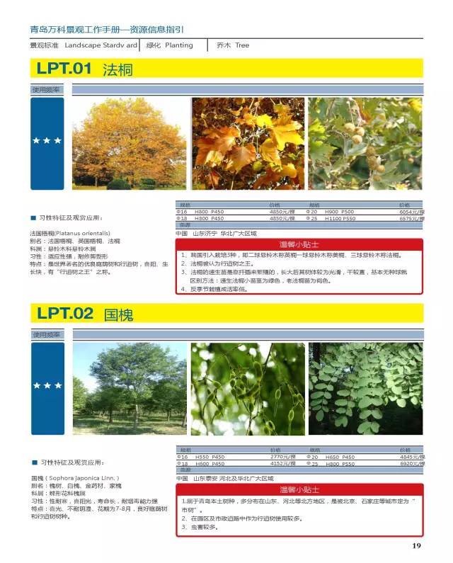 干货：230种万科景观常用植物汇总（内部资料）