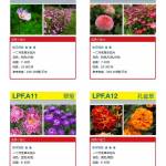 干货：230种万科景观常用植物汇总（内部资料）