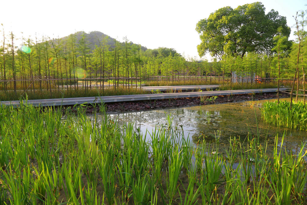 真山公园，苏州 / 土人设计