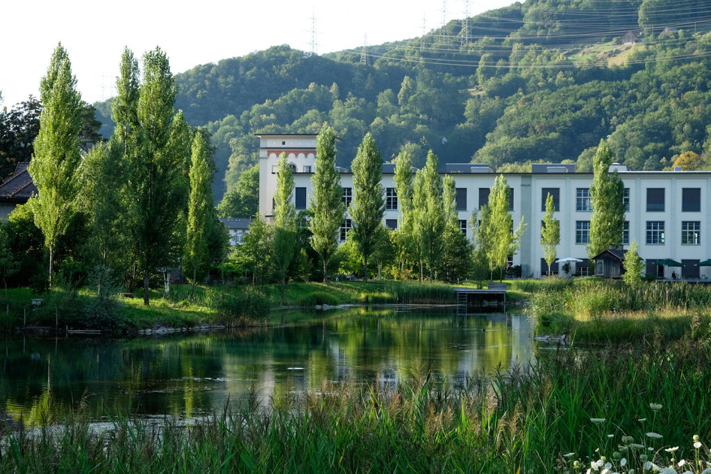 瑞士低位工厂池塘Lower Factory Pond