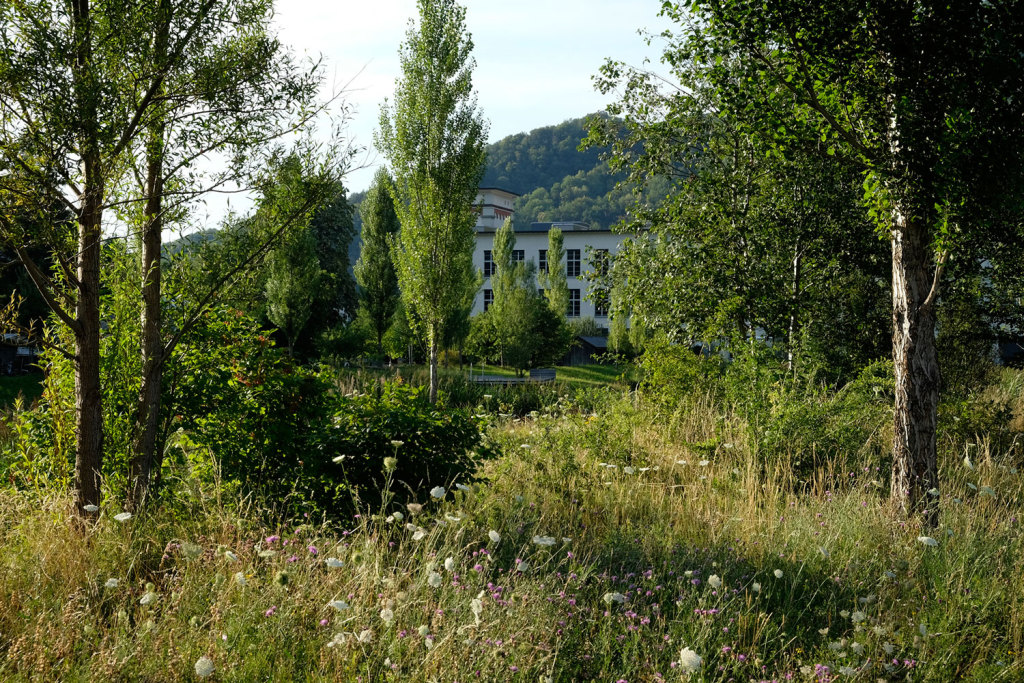 瑞士低位工厂池塘Lower Factory Pond