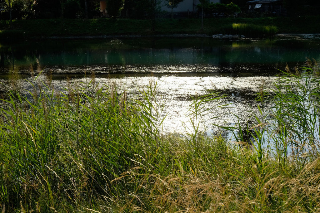 瑞士低位工厂池塘Lower Factory Pond