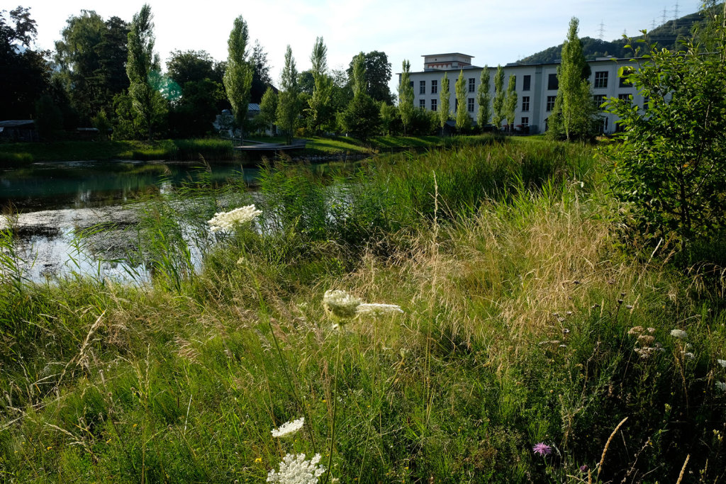 瑞士低位工厂池塘Lower Factory Pond