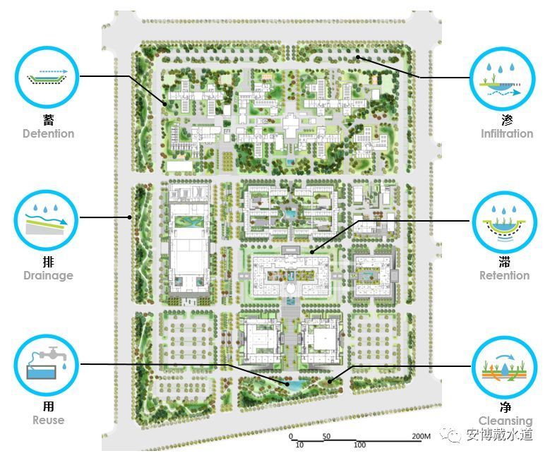 低影响开发——雄安市民服务中心景观设计 | Ramboll Studio Dreiseitl