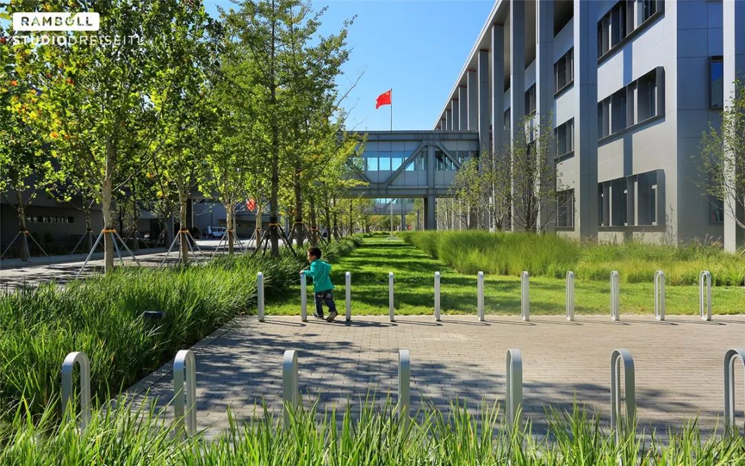低影响开发——雄安市民服务中心景观设计