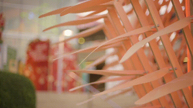 呼吸的灯笼THE
